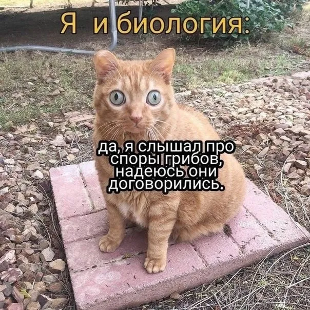К тебе можно нет. К тебе можно нет